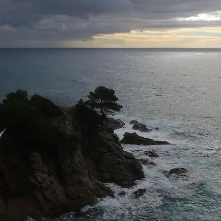 公寓 With Sea View & Pool, Garden, Dishwasher 滨海略雷特