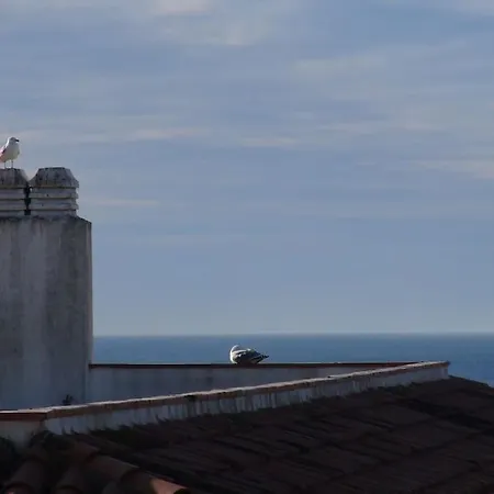 With Sea View & Pool, Garden, Dishwasher Apartment