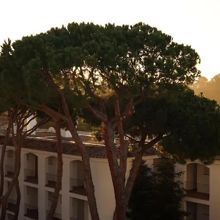 With Sea View & Pool, Garden, Dishwasher Apartment *